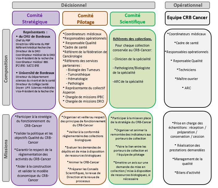 Organigramme fonctionnel juin 2023