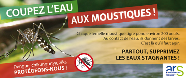 moustiques_tigres_ars_chu_bordeaux