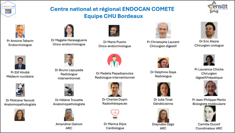 equipe multidisciplaire endocan comete
