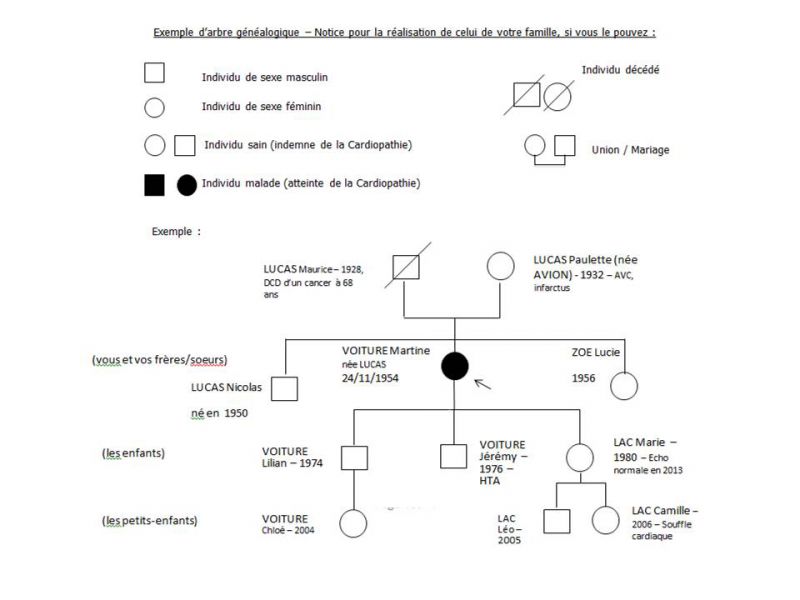 Exemple arbre généalogique