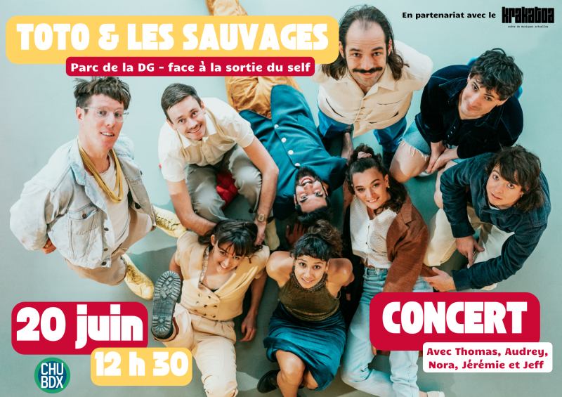 Affiche toto et les sauvages