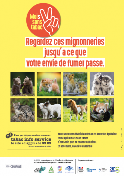 Affiche Mois Sans Tabac