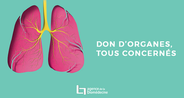 don organes