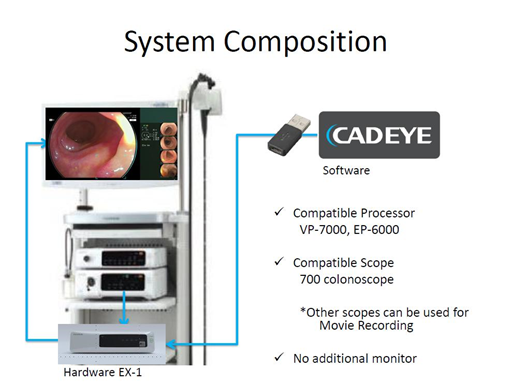 Photo system composition
