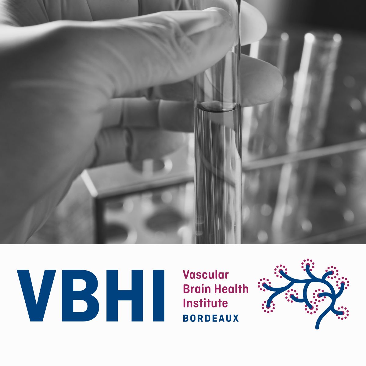 VBHI Lancement Cohort