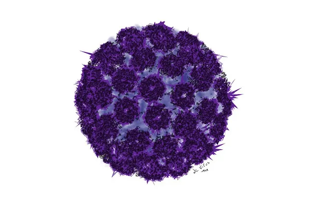 jc virus image