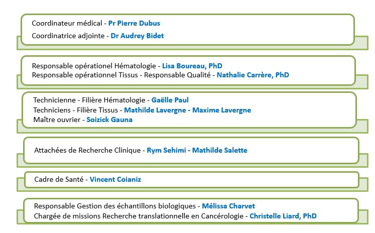 Organigramme CRB CHU DE BORDEAUX NOVEMBRE 2025
