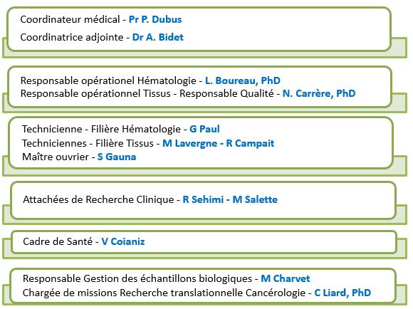 Organigramme 04022025