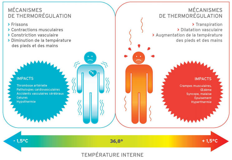 image plan canicule 2020