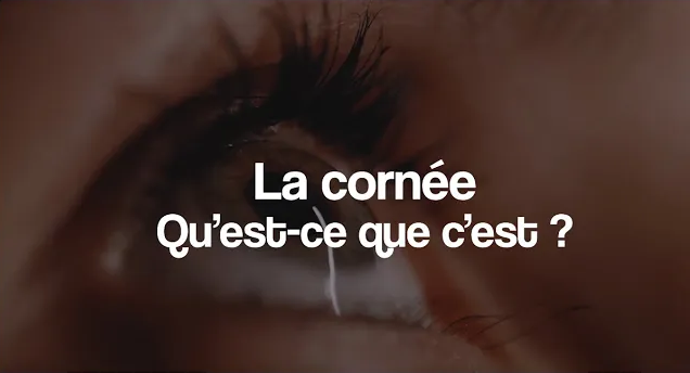 La greffe de cornée EP 1 - C'est quoi la cornée ?